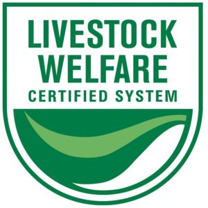 Animal Welfare at SunPork - Australian Livestock Processing Industry Animal Welfare System (AAWCS).